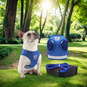 Bán Buôn Thoáng Khí Thiết Kế Pet Dog Khai Thác Vest Bộ Nhỏ Polyester Phản Quang Thời Trang Lưới Độn Thời Trang Dog Vest