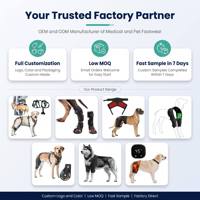 Attelle de protection réfléchissante à semelle rigide, directe usine, pour chien atteint d'arthrite et de douleurs articulaires, avec sangle de maintien pour pied tombant