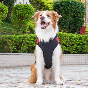 Veste en coton pour animaux de compagnie, moderne, décontractée, écologique, coupe-vent, pour chat et chien de taille moyenne et grande, vente chaude printemps automne hiver - Product Image 3