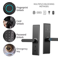 Serrure de porte intelligente numérique TYSH Ai Ttlock, poignée de porte électrique, serrure électrique bleue