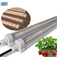 <strong>Best</strong> Selling T8 Led Full Spectrum <strong>Grow</strong> <strong>Light</strong> 40W Indoor Plant 1200mm Ip65 Tube <strong>Lights</strong> for Vegetable /Fruits and <strong>Tissue</strong> <strong>Culture</strong>