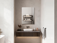 Miroir de salle de bain intelligent MIRROH.AI OEM/ODM, Android 11, Bluetooth, écran tactile, TV, écran HD 21,5 pouces, indice de protection IP65, pour hôtel, salon