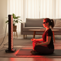 Appareil PDT domestique à succès avec nouveau design, panneau LED rouge 630nm 660nm 810nm 830nm 850nm pour luminothérapie, faible EMF