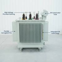 Transformateur de distribution d'énergie Wanbo-185 triphasé immergé dans l'huile, haute efficacité, faible perte, pour extérieur