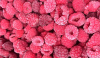 Chinese Fruit Verschillende Soorten Iqf Vruchten Bevroren Voedsel Neo Fd Raspberry Fruit Iqf Bevroren Frambozen Bulk