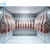 Chambre froide commerciale pour aliments surgelés, viande, fruits de mer, volailles et stockage à froid