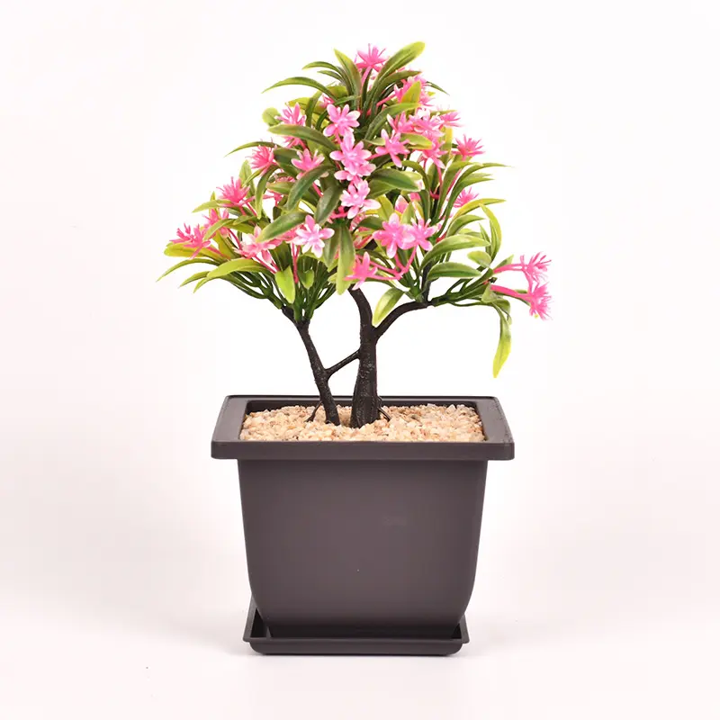 Jardinería Plástico Bonsai Plantas Macetas de cultivo de flores
