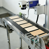 Machine de marquage laser personnalisée tout-en-un, équipement laser certifié GS1 DataMatrix EAC pour la ligne de production Chestny ZNAK
