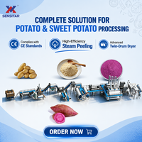 Automatische productielijn voor aardappelchips/poeder 600-3000kg/u met geavanceerde dubbeltrommeldroger en stoomschillen
