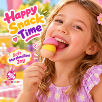 Sucettes en forme de burger OEM en gros, saveurs fraise, citron, orange, bonbons moelleux et doux pour enfants