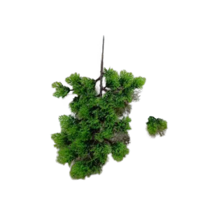 ใบสนประดิษฐ์ Taihang กรวดหินไซเปรสตกแต่งภูมิทัศน์สนพลาสติกและสาขาไซเปรส - Product Image 2