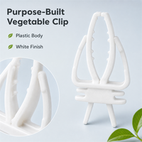 Accessoires pour cage à oiseaux : Pinces à légumes en plastique durables, fourchettes à fruits anti-déchirure, plateaux légers et réutilisables pour petits oiseaux et perroquets
