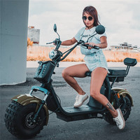 Scooter Électrique Citycoco de 1000W à 3000W, Approvisionnement Direct Usine, Prix Compétitif pour Utilisation sur Parcours de Golf