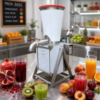 Commerciële industriële 30L groente- en fruitpers blendermachine met 304 roestvrijstalen motor, hoge productiviteit voor fruitverwerkingsbedrijven