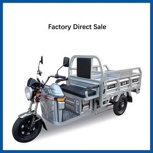 Tricycle électrique motorisé à frein à tambour fermé, <span class=keywords><strong>prix</strong></span> <span class=keywords><strong>d</strong></span>'usine, super puissant, pour adultes, haute vitesse, robuste, capacité de charge de 400 kg, vélo <span class=keywords><strong>cargo</strong></span> - Product Image 2