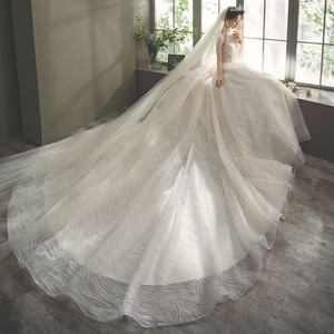 <span class=keywords><strong>2021</strong></span> été AL0954 robe de mariée de luxe blanc robe de mariée licou cou traînant Cour Style grande taille cristal maître mariage - Product Image 4