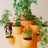 Pot de jardinage en terre cuite pour la maison et le jardin, style mignon, composteur de légumes avec emballage personnalisé
