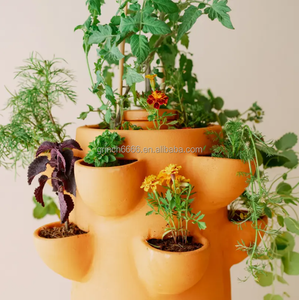 <span class=keywords><strong>Terre</strong></span> <span class=keywords><strong>cuite</strong></span> eau jardin balcon eau potager <span class=keywords><strong>terre</strong></span> <span class=keywords><strong>cuite</strong></span> se répand eau jardinière <span class=keywords><strong>Pot</strong></span> <span class=keywords><strong>terre</strong></span> <span class=keywords><strong>cuite</strong></span> <span class=keywords><strong>composteur</strong></span> légumes Garde - Product Image 6