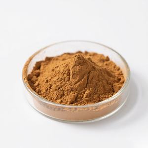 100% extrait naturel de <span class=keywords><strong>Damiana</strong></span> 10:1 extrait de feuille de <span class=keywords><strong>Damiana</strong></span> extrait de <span class=keywords><strong>Damiana</strong></span> en poudre - Product Image 4