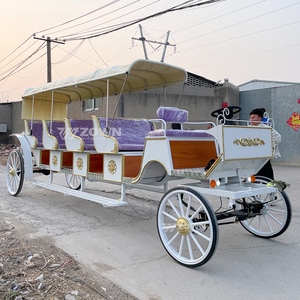 Charrette de luxe longue pour visites touristiques, plusieurs sièges, panneaux latéraux en bois, transport extérieur pour mariages et festivals - Product Image 2