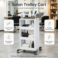 Chariot de Salon en Acier Inoxydable, Chariot de Rangement Roulant pour Coiffure avec Bols à Teinture et Rotation à 360° °   Roulettes pivotantes pour salon de coiffure, spa