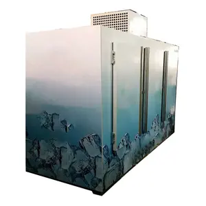 立式3三重实心门户外大商用冰柜冷却器大尺寸冰盒