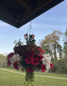 Chaînes pivotantes d'usine avec crochets pour mangeoires à oiseaux, carillons éoliens, moulinets à vent, chaînes réglables avec crochets - Product Image 4