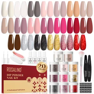 ROSALIND Nail Supplier OEM Professional All In One Glitter Vegan 20 Colors Dipping Powder Nail Kit With Dip Powder Liquid Set