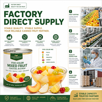 Gemengd fruit in blik 850g Druif Kers Ananas in siroop ISO HALAL Groothandel voor importeurs en distributeurs