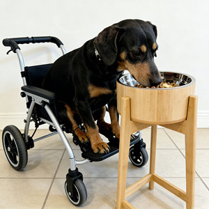 Tigelas Elevadas para Cães/Gatos com Alimentador Lento, Tigela de Bambu com Suporte de Aço Inoxidável - Resistente a Quedas - Product Image 6