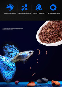 Vers de sang 100% naturels séchés au congélateur - Product Image 4