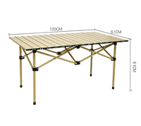 Table pliante pour l'extérieur, 4ft, camping, randonnée, pique-nique, triangulaire, stable, accessoires de barbecue