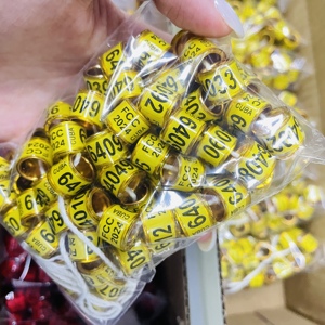 2025 chân ban nhạc nhôm Pigeon nhẫn với tùy chỉnh đầy màu sắc tên điện thoại số Serial Racing Vòng - Product Image 2