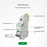 Disjoncteur miniature Schneider IC65N 2P C25A A9F18225 1P 3P 4P 400V AC 50Hz 6kA pour distribution électrique