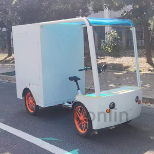 L'ultima bicicletta elettrica Cargo Ebike A quattro <span class=keywords><strong>ruote</strong></span> motrici A quattro <span class=keywords><strong>ruote</strong></span> del 2024 con una custodia Bakfiets Cargo Bike - Product Image 6