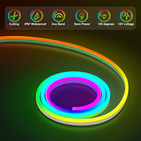 Bandes lumineuses LED néon intelligentes RGB 12V, étanches, flexibles, avec application Tuya WiFi pour le contrôle vocal Alexa