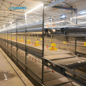 Cage automatique pour poulets de chair et volailles de type H Cage d'élevage de volailles - Product Image 2