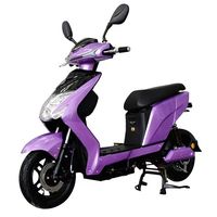10 pouces vélo électrique longue portée chaude 1500W pédale assistée électrique adulte scooter électrique cyclomoteur