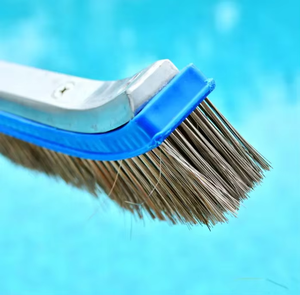 Cepillo de <span class=keywords><strong>limpieza</strong></span> de <span class=keywords><strong>piscina</strong></span> de <span class=keywords><strong>algas</strong></span> de 10 "con cerdas de acero para spas de <span class=keywords><strong>piscina</strong></span> - Product Image 4