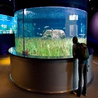 Panneaux acryliques transparents sur mesure Xinxunlin pour grande aquarium domestique et décoration intérieure