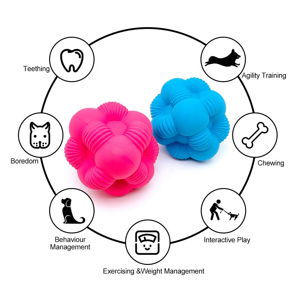 natural organic squeaky dog ball toy