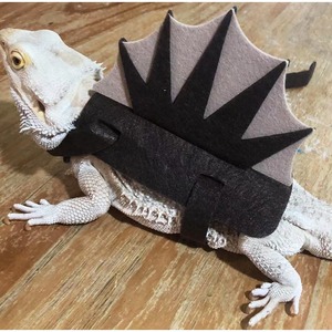 Disfraz de Lagarto Camaleón, <span class=keywords><strong>Ropa</strong></span> Divertida para Mascotas Pequeñas, Accesorio de Fieltro de Dinosaurio - Product Image 4