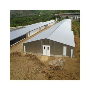 Struttura in acciaio a basso costo pollaio strato allevamento di anatre tettoie per allevamento di pollame - Product Image 2