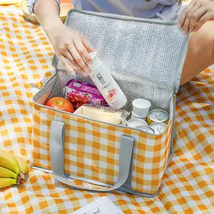 Yalıtımlı soğutucu çanta kullanımlık piknik buzdolabı için alüminyum film ile
