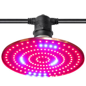 Bajo consumo <span class=keywords><strong>de</strong></span> energía 24W UFO LED Grow Lights IP65 para garaje, taller, <span class=keywords><strong>cactus</strong></span> <span class=keywords><strong>de</strong></span> <span class=keywords><strong>interior</strong></span> y crecimiento suculento - Product Image 2
