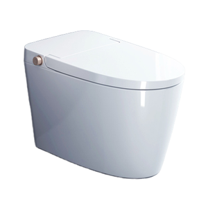 Inodoro Moderno de Una Pieza Angel A2-1, Cuadrado, de Montaje en Suelo, con Tanque Bajo, Cerámica Blanca, Acabado Liso - Product Image 1