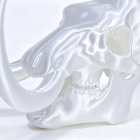 Collection de Crânes Fossiles Imprimés en 3D pour Cadeaux Artisanaux – Mamouth Laineux Qualité Muséale pour l'Éducation et l'Exposition, Échelle Personnalisée Disponible