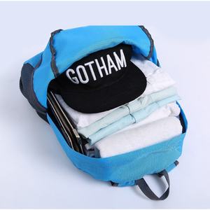 Wholesale <b>Waterproof</b> Cheaper Small Quantities Custom Logo Casual Sports Lightweight Nylon Daypack Travelling Foldable <b>Backpack</b> - Product Image 5