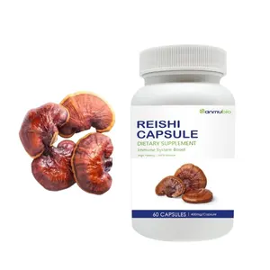 Reine Formel reiner Reishi Lingzhi Pilzextrakt Ganoderma Lucidum Kapseln