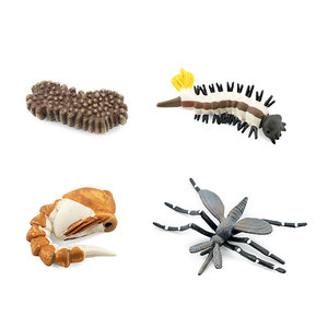 Modèles réalistes en PVC de cycles de vie des animaux pour jouets figurines d'animaux tels que le moustique, le canard, le crabe à fer à cheval et le pterosaure - Nouveauté transfrontalière - Product Image 5